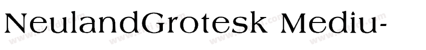 NeulandGrotesk Mediu字体转换